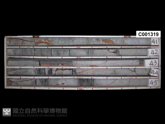 登錄號:C001319藏品圖，第1張