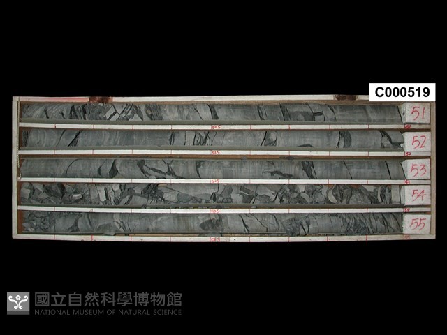 登錄號:C000519藏品圖，第1張