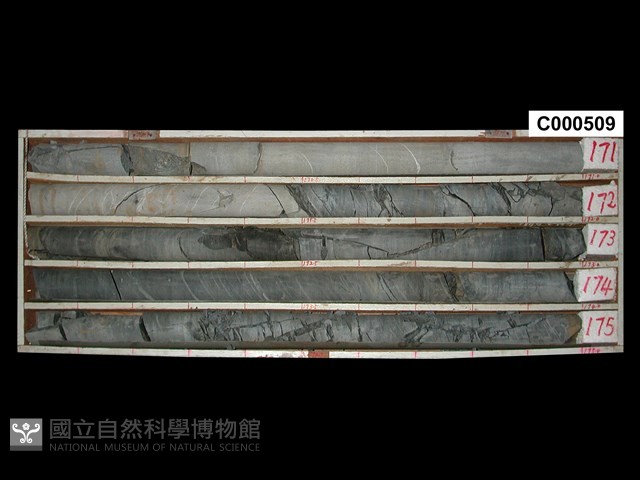 登錄號:C000509藏品圖，第1張