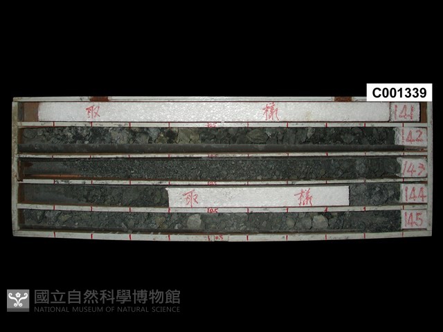 登錄號:C001339藏品圖，第1張