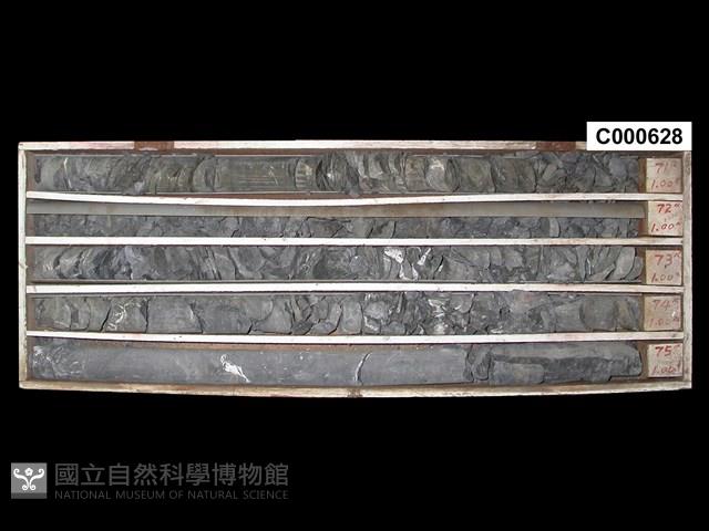 Accession Number:C000628 Collection Image, Figure 1, Total 2 Figures