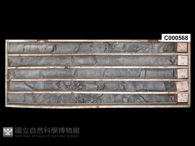 登錄號:C000568藏品圖，第1張