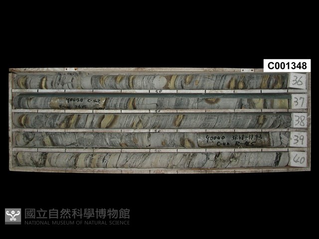 登錄號:C001348藏品圖，第1張