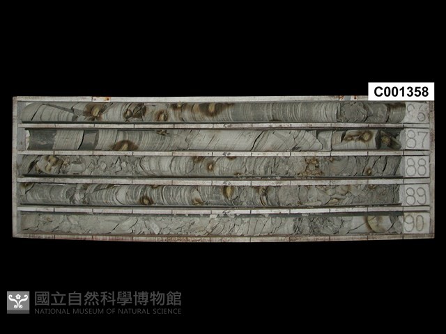 登錄號:C001358藏品圖，第1張