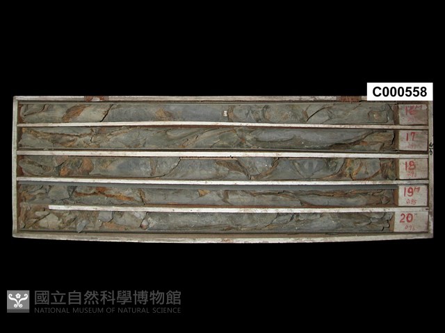 登錄號:C000558藏品圖，第1張