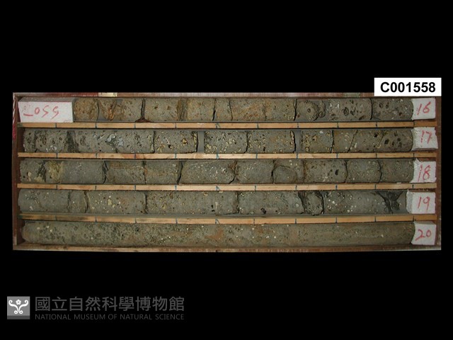 登錄號:C001558藏品圖，第1張