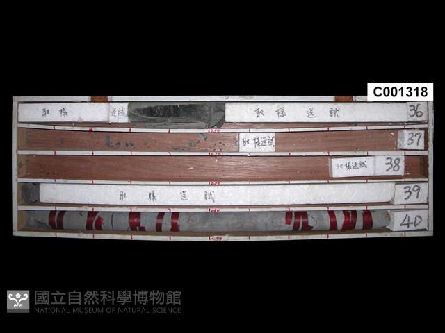 登錄號:C001318藏品圖，第1張