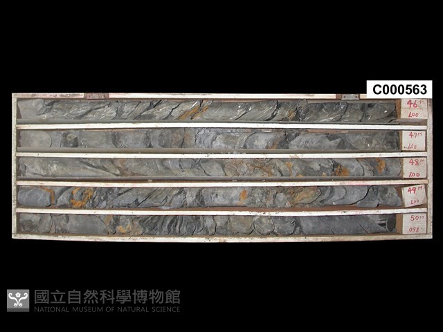 登錄號:C000563藏品圖，第1張