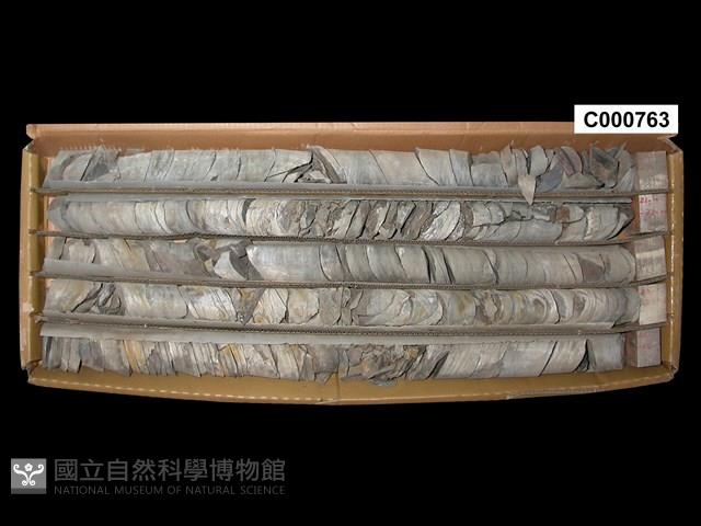 Accession Number:C000763 Collection Image, Figure 1, Total 2 Figures