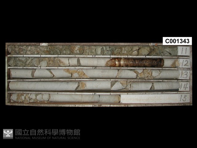 登錄號:C001343藏品圖，第1張