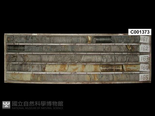 登錄號:C001373藏品圖，第1張