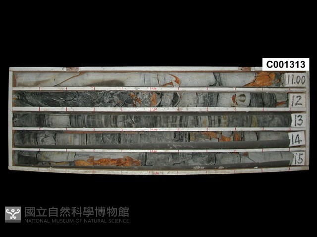 登錄號:C001313藏品圖，第1張
