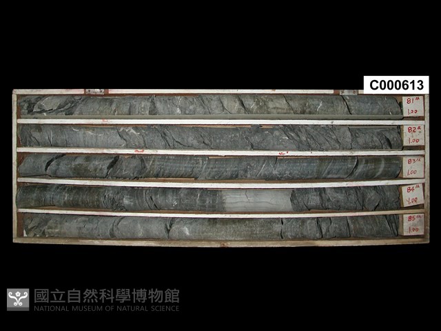 登錄號:C000613藏品圖，第1張