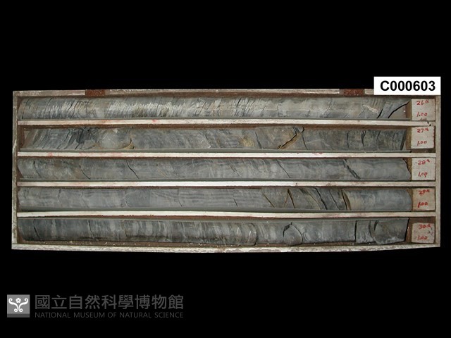 登錄號:C000603藏品圖，第1張