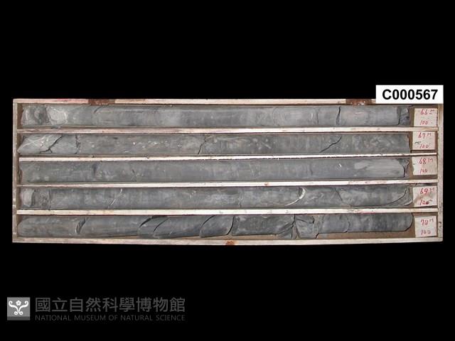 登錄號:C000567藏品圖，第1張