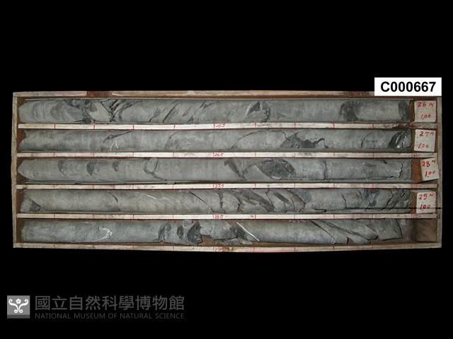 登錄號:C000667藏品圖，第1張