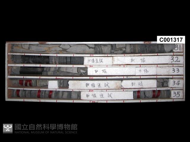 登錄號:C001317藏品圖，第1張