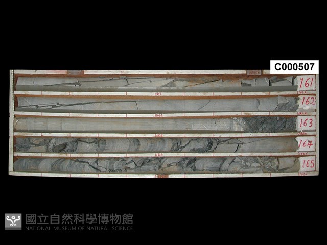 登錄號:C000507藏品圖，第1張