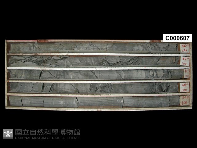 登錄號:C000607藏品圖，第1張