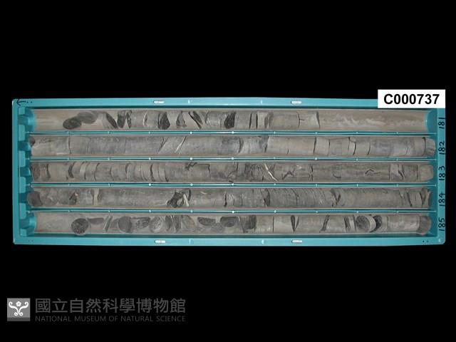 登錄號:C000737藏品圖，第1張