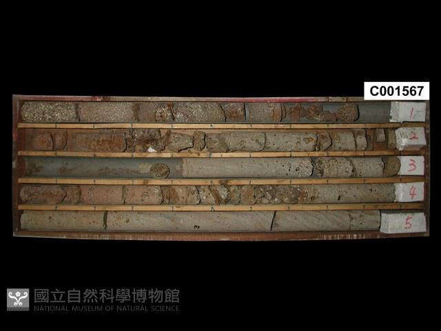 登錄號:C001567藏品圖，第1張