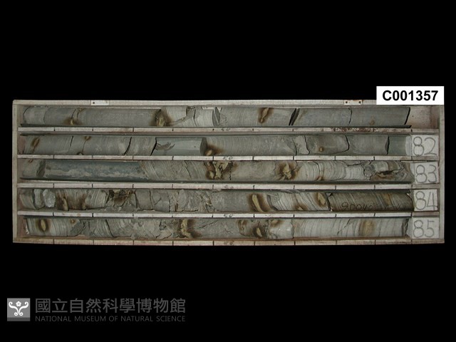 登錄號:C001357藏品圖，第1張