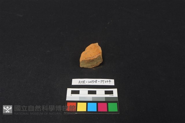 陶片藏品圖，第3張