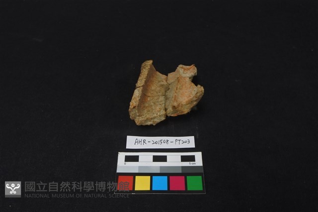 陶片藏品圖，第3張