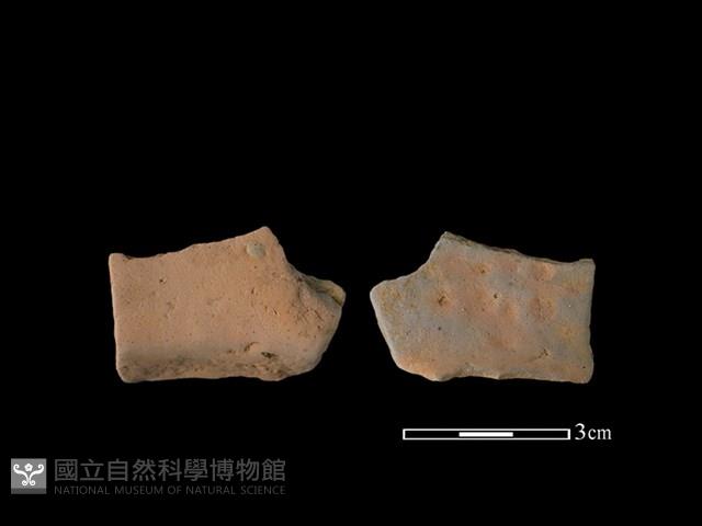 連杯形器藏品圖，第1張