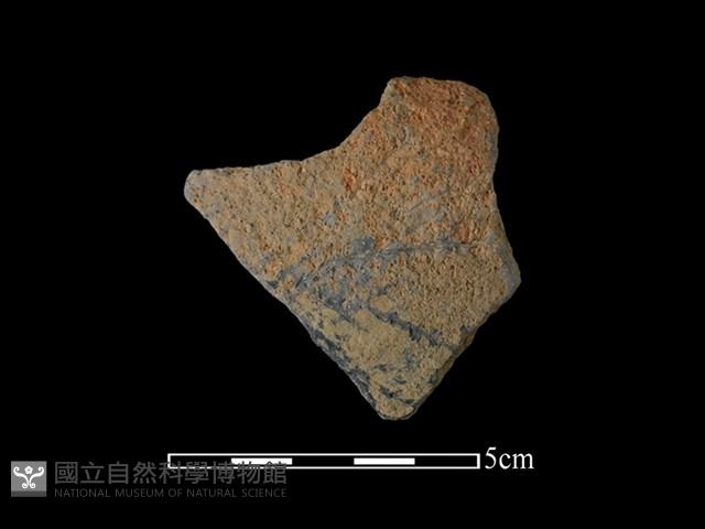 陶片藏品圖，第1張