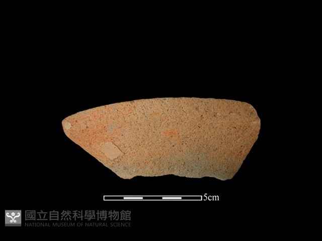 陶片藏品圖，第1張