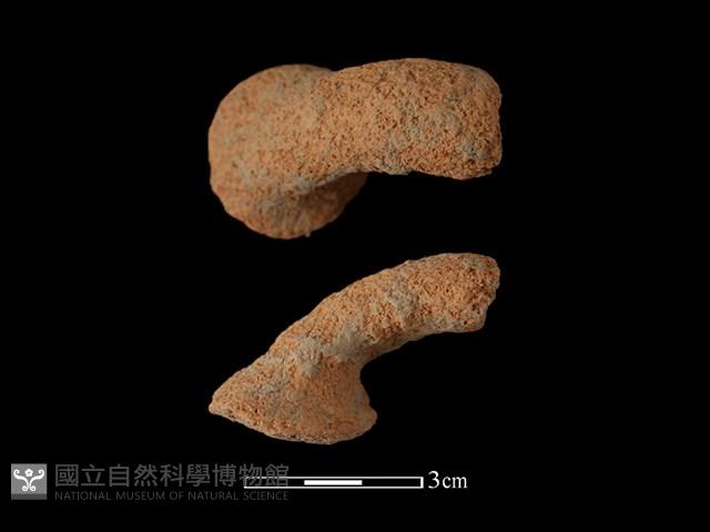 陶把藏品圖，第1張