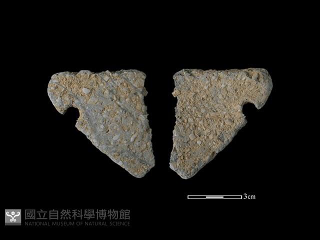 陶片藏品圖，第1張