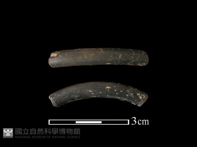 陶環藏品圖，第1張