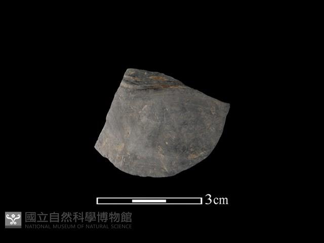 陶片藏品圖，第1張