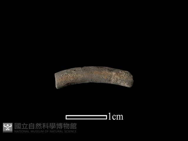 陶環藏品圖，第1張