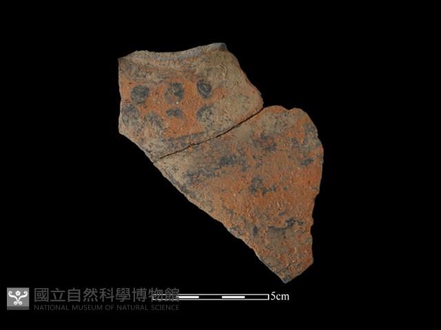 陶片藏品圖，第1張