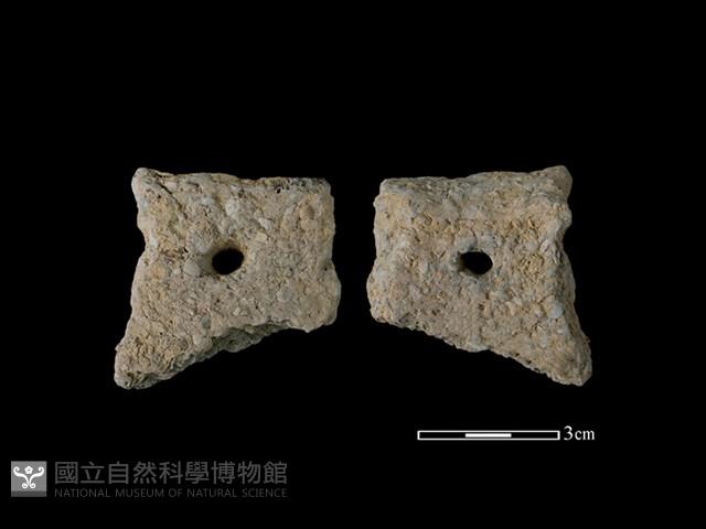 陶片藏品圖，第1張