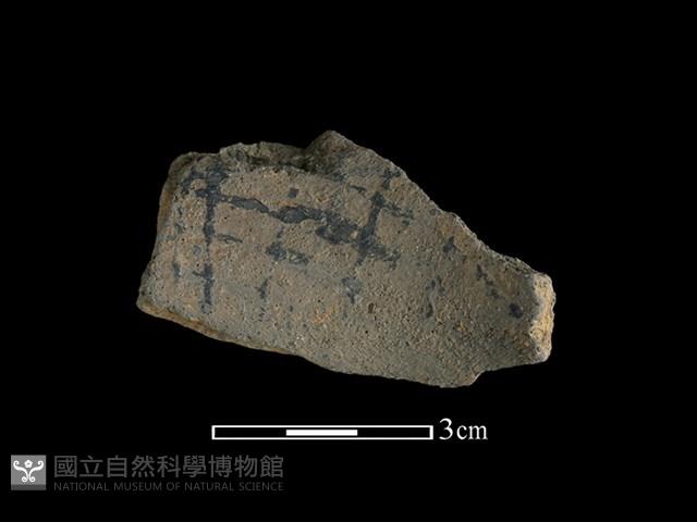 陶片藏品圖，第1張