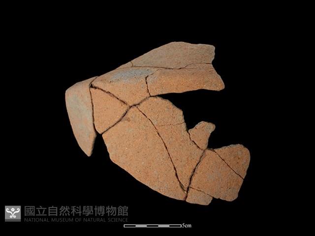 陶片藏品圖，第1張