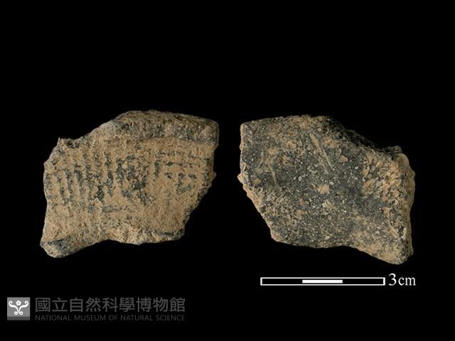 陶片藏品圖，第1張