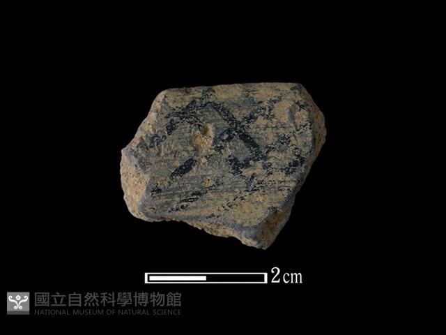 陶片藏品圖，第1張