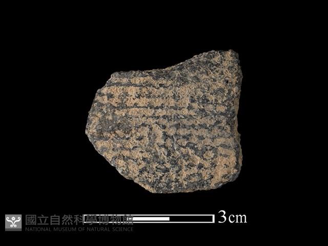 Accession Number:TMLII-PT668 Collection Image