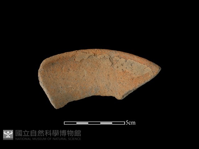 陶片藏品圖，第2張