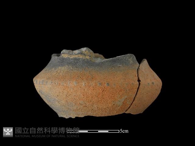 陶片藏品圖，第2張