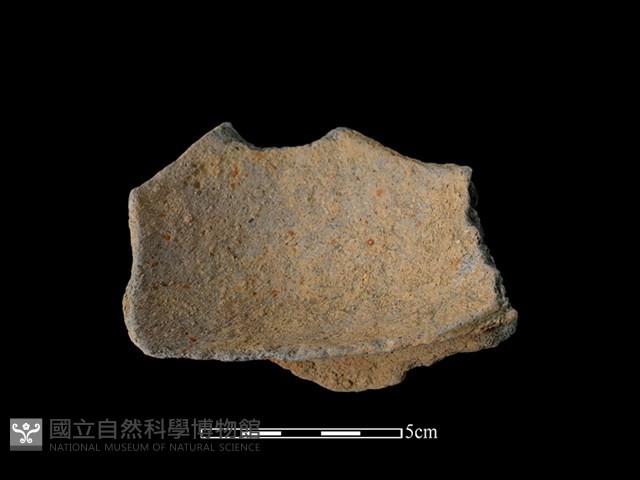 陶片藏品圖，第2張