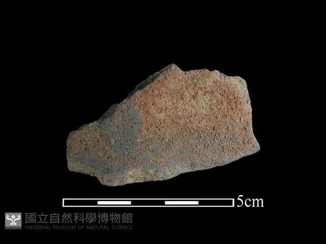 陶片藏品圖，第2張