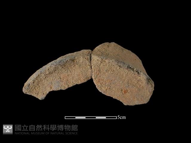 陶片藏品圖，第2張