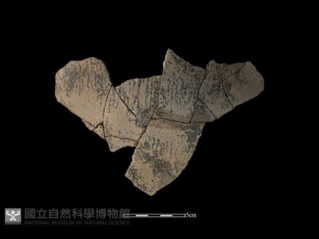 陶片藏品圖，第2張