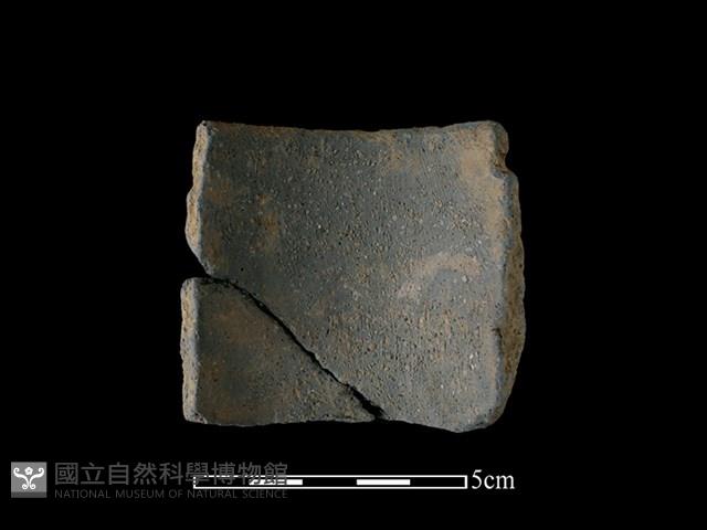 陶片藏品圖，第2張